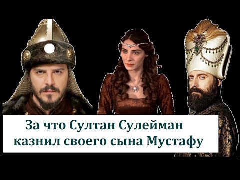 За что Султан Сулейман казнил своего сына Мустафу?