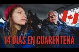 14 DÍAS Haciendo CUARENTENA en CANADÁ 🇨🇦 | Vida en Canadá Ahora + Últimas Noticias + Planes de Ayuda