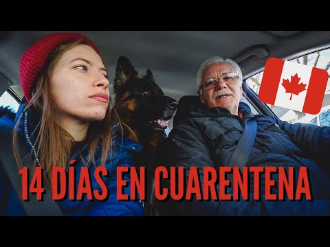 14 DÍAS Haciendo CUARENTENA en CANADÁ 🇨🇦 | Vida en Canadá Ahora + Últimas Noticias + Planes de Ayuda