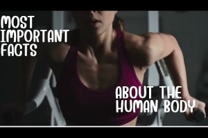 50 Amazing Facts About The Human Body | Human Body Facts |