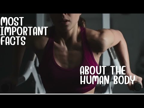 50 Amazing Facts About The Human Body | Human Body Facts |