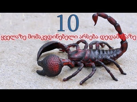 10 ყველაზე მომაკვდინებელი არსება დედამიწაზე