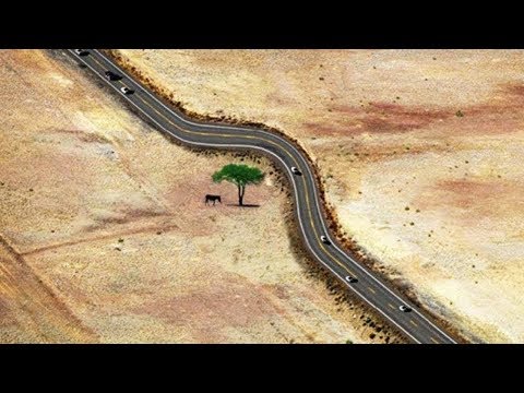 ბუნებაზე ზრუნვის 5 საუკეთესო მაგალითი